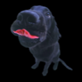 /album/cachorros-narigudos/puppy-6-png/